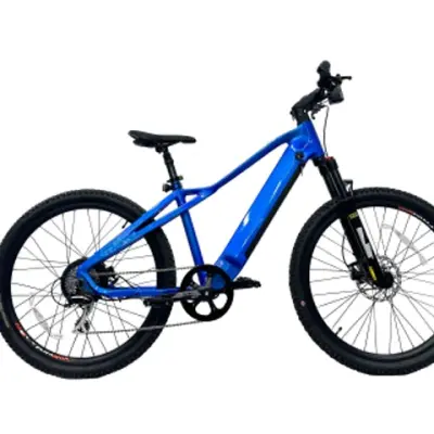 500w Hidden Battery Electric Mountain Bike