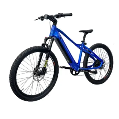 500w Hidden Battery Electric Mountain Bike