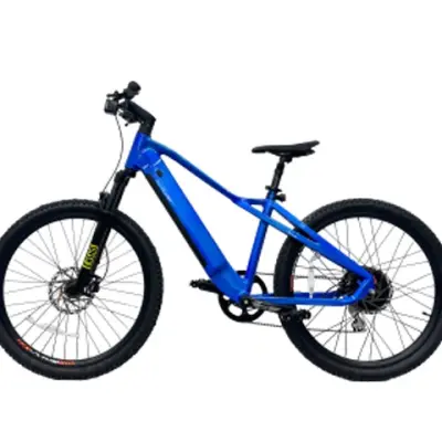 500w Hidden Battery Electric Mountain Bike