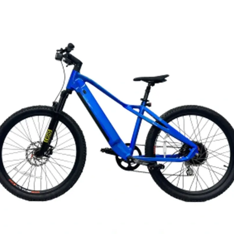 500w Hidden Battery Electric Mountain Bike