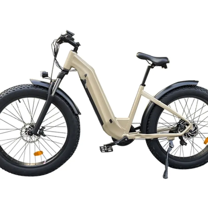 750w Electric Mountain Bike