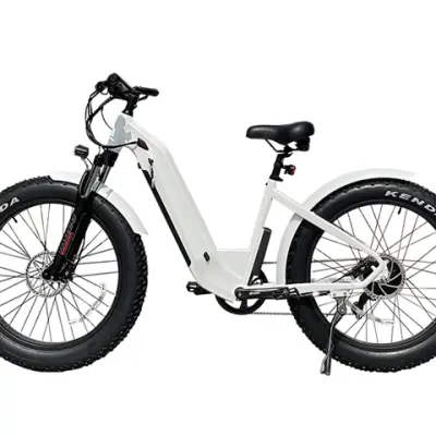 750w Electric Mountain Bike