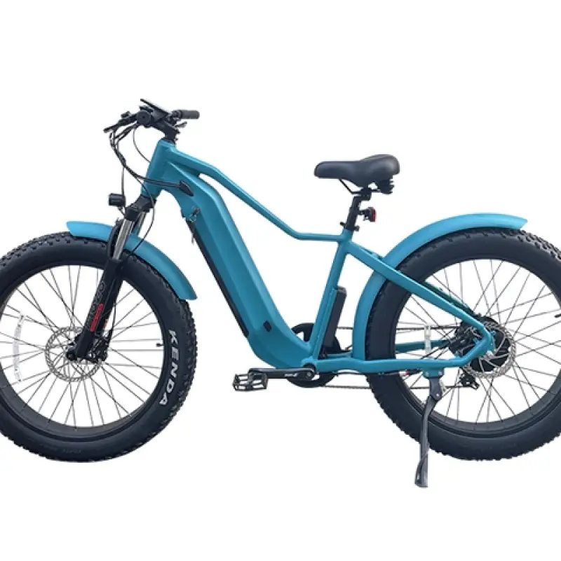 Fat Tire Electric Mountain Bike