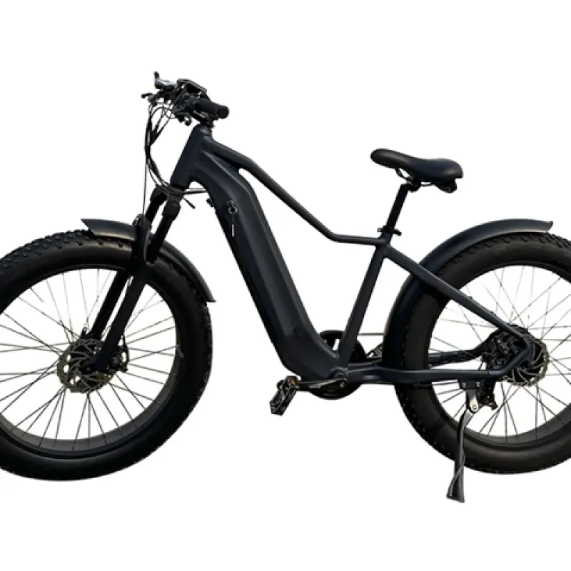 Fat Tire Electric Mountain Bike