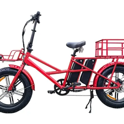 Dual Battery Electric Bike