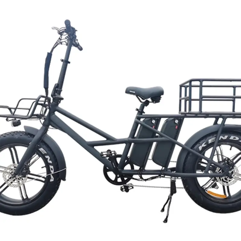 Dual Battery Electric Bike