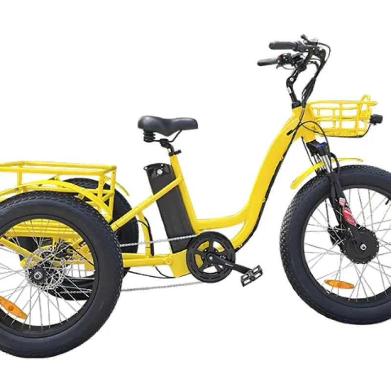 Electric Cargo Trike