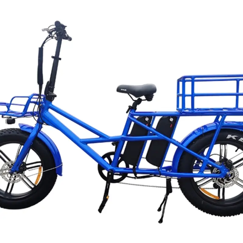 Dual Battery Electric Bike