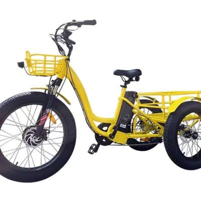 Electric Cargo Trike