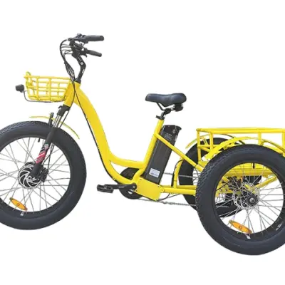 Electric Cargo Trike