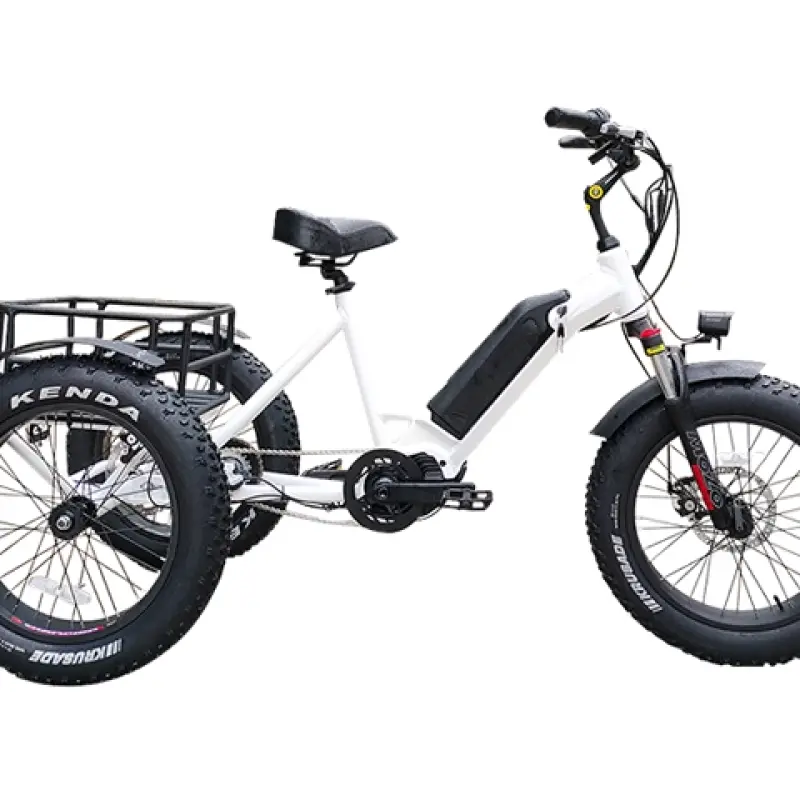 3 Wheel Electric Cargo Bike