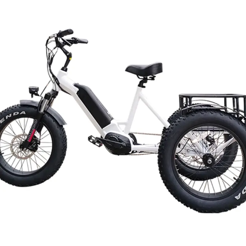 3 Wheel Electric Cargo Bike