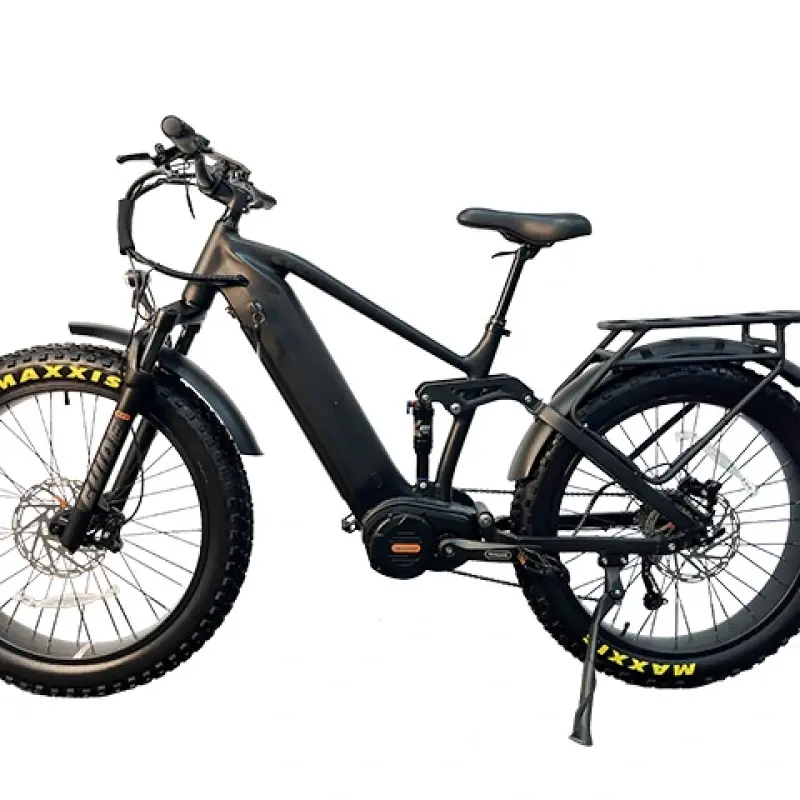 1000w Mid Drive Electric Bike