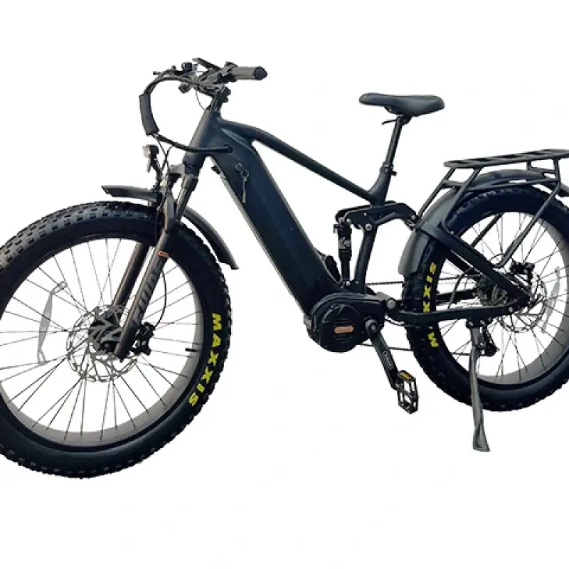 1000w Mid Drive Electric Bike