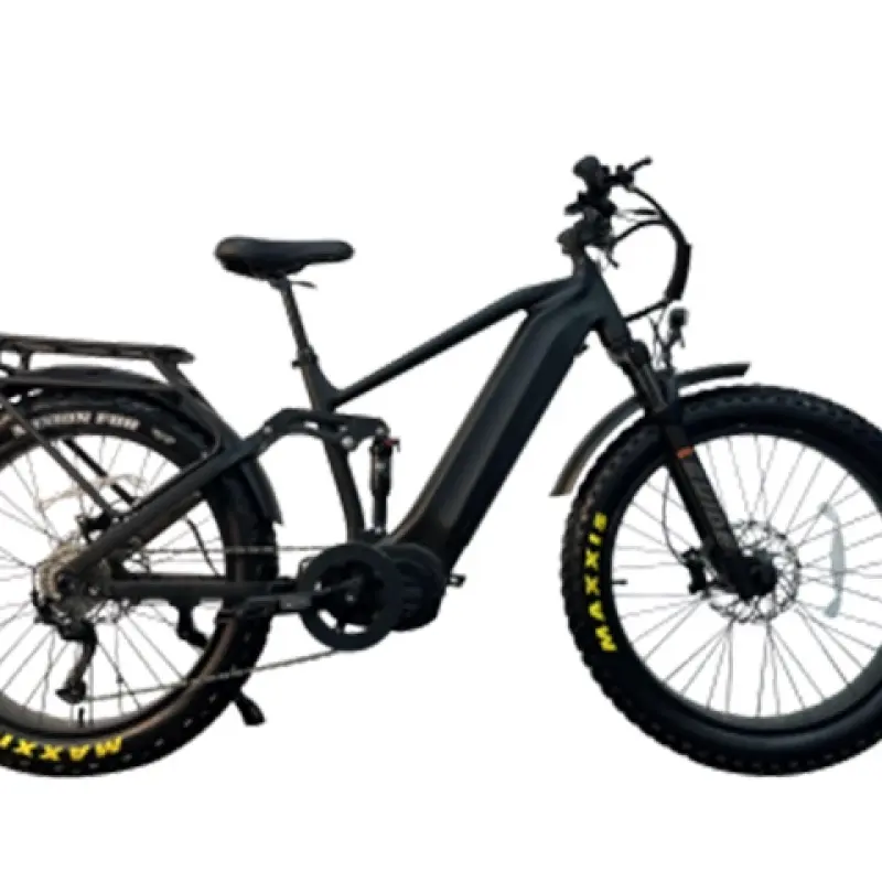 1000w Mid Drive Electric Bike