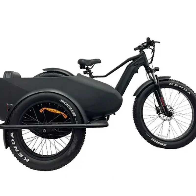 Electric Bike Sidecar