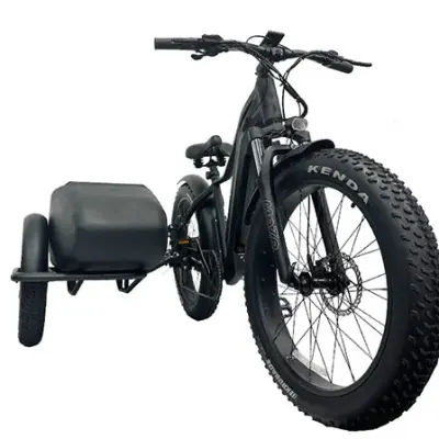 Electric Bike Sidecar