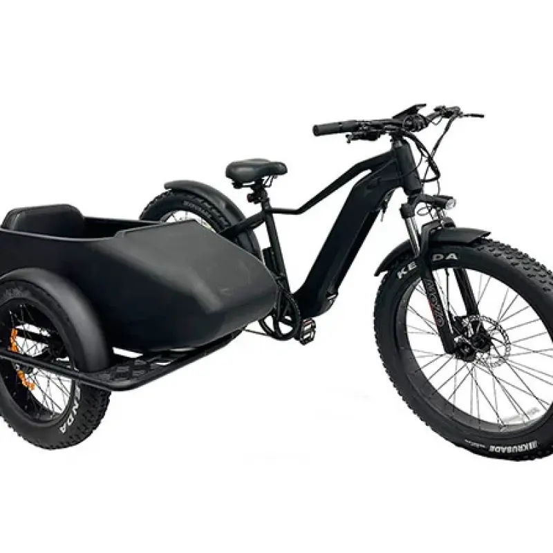 Electric Bike Sidecar