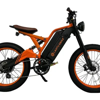 Electric Dirt Bike