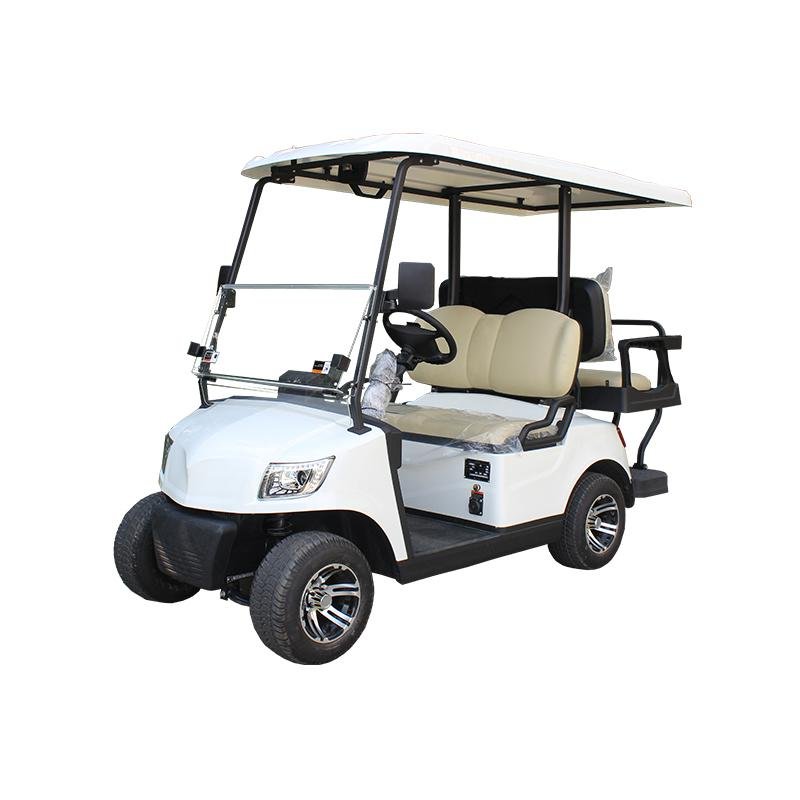 4 Seater Lithium Battery Golf Cart DG-M2+2