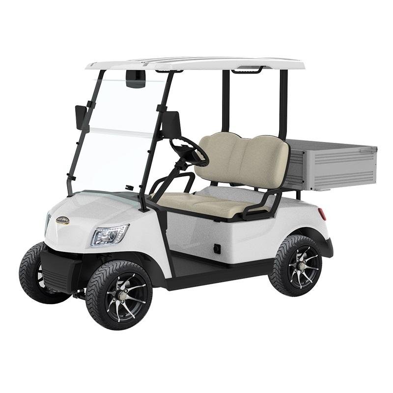 2 Seater Electric Lithium Battery Utility Golf Cart DG-M2S