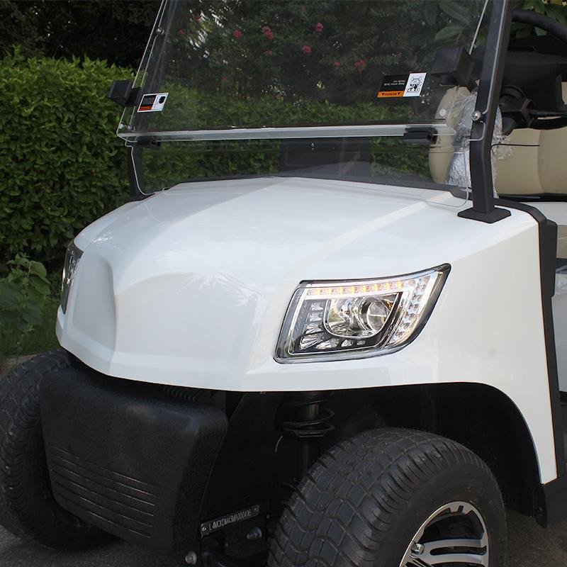 4 Seater Lithium Battery Golf Cart DG-M2+2