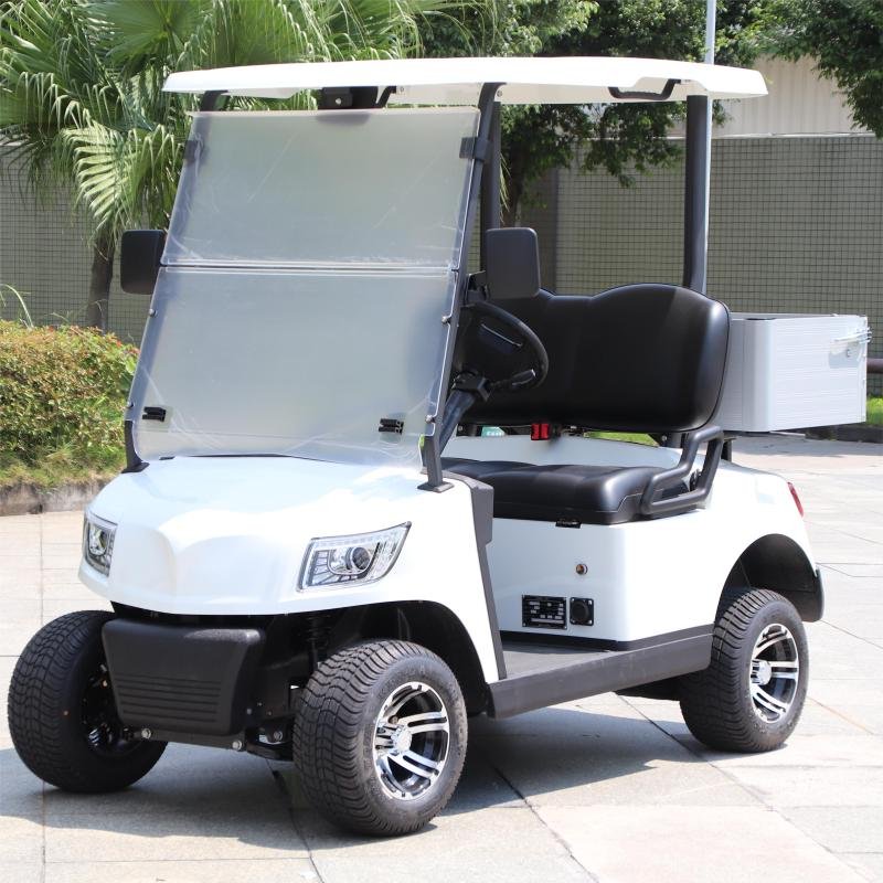 2 Seater Electric Lithium Battery Utility Golf Cart DG-M2S