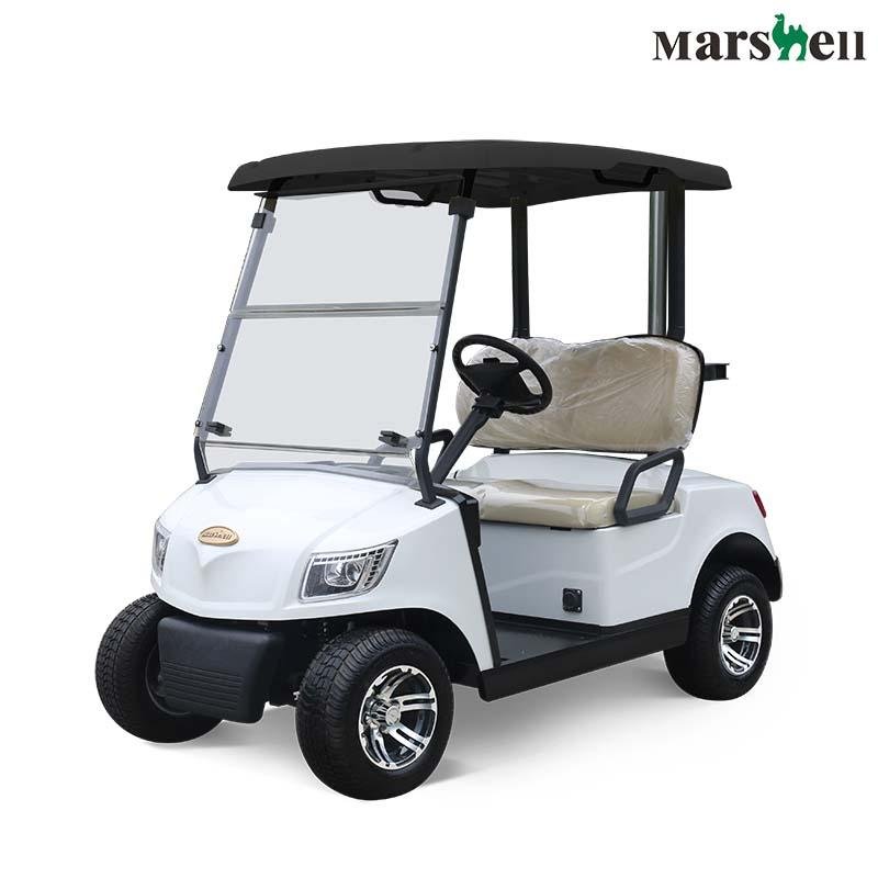 2 Seater Lithium Battery Golf Cart DG-M2