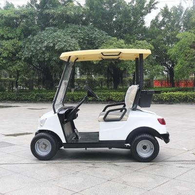 2 Seater Lithium Battery Golf Cart DG-M2