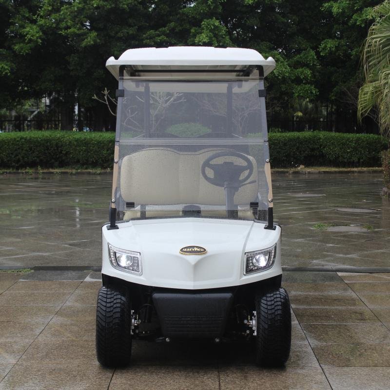 6 Seater Electric Lithium Battery Golf Cart DG-M4+2