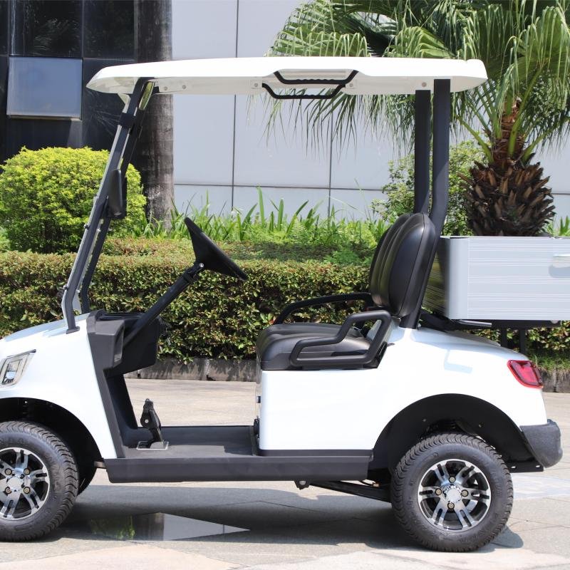 2 Seater Electric Lithium Battery Utility Golf Cart DG-M2S