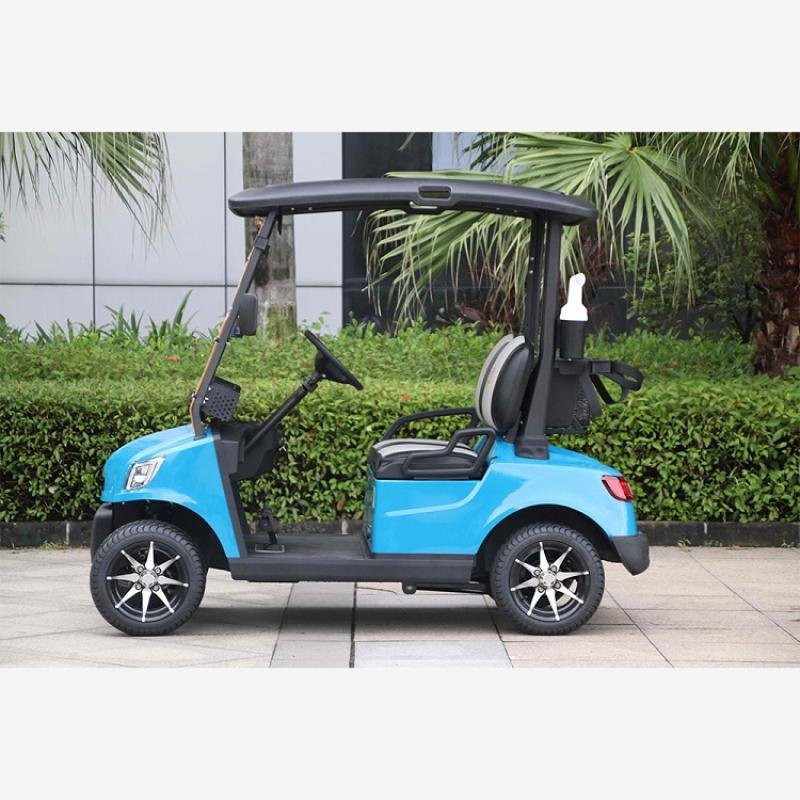 2 Seater Lithium Battery Golf Cart DG-M2