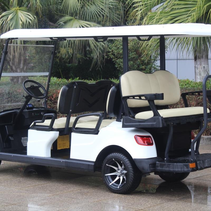 6 Seater Electric Lithium Battery Golf Cart DG-M4+2