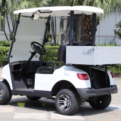 2 Seater Electric Lithium Battery Utility Golf Cart DG-M2S