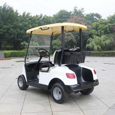 2 Seater Lithium Battery Golf Cart DG-M2