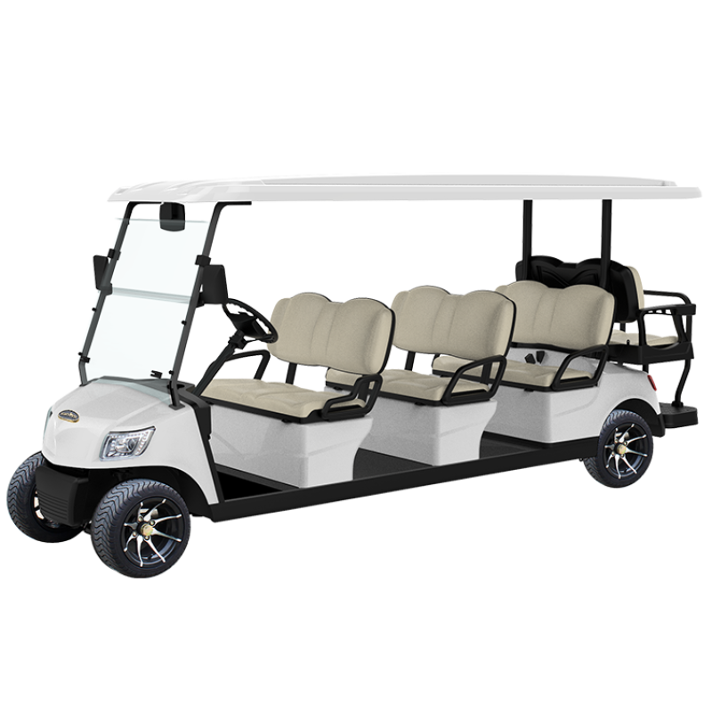 8 Seater Electric Lithium Battery Golf Cart DG-M6+2