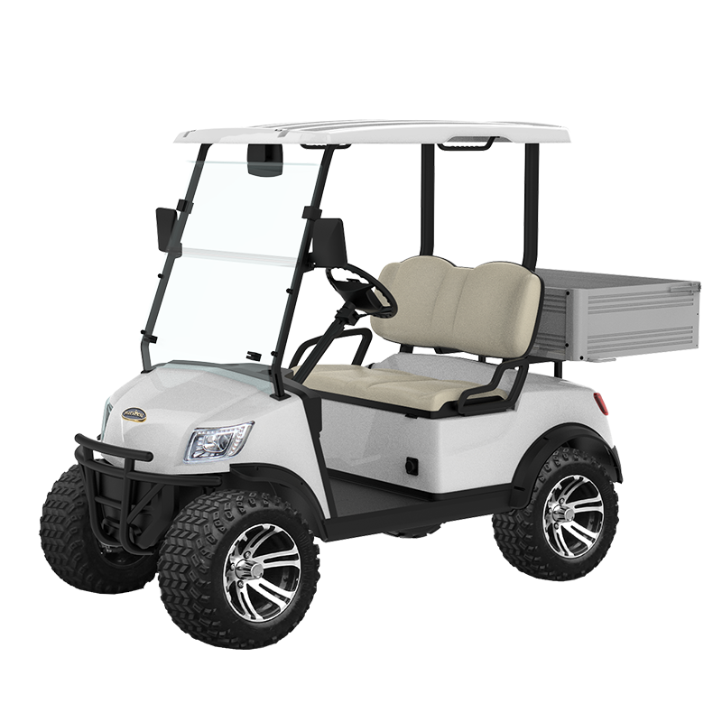 2 Seater Electric Lithium Battery Lifted Golf Cart DH-M2