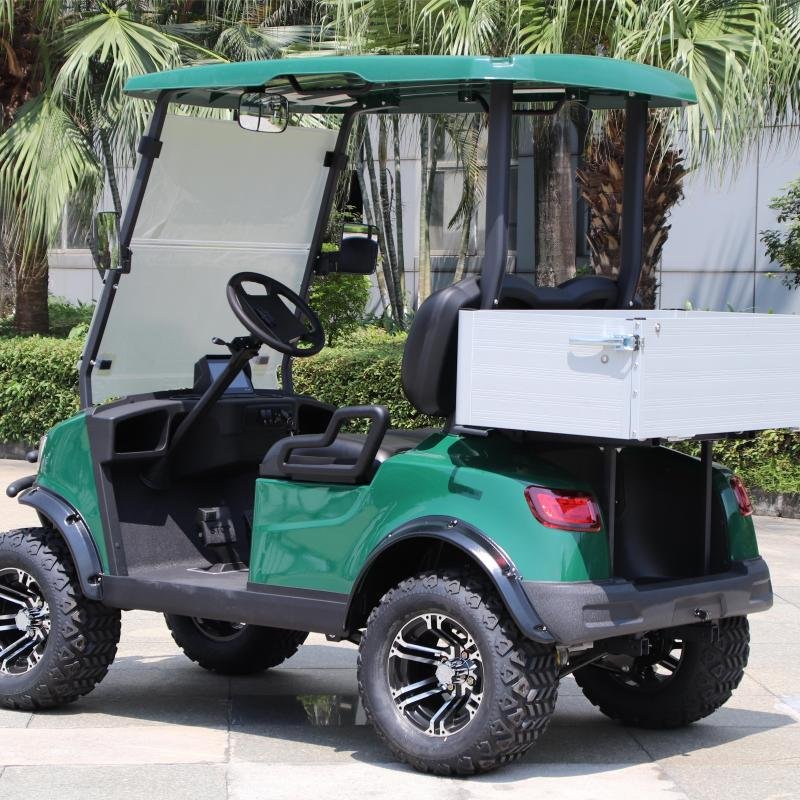 2 Seater Electric Lithium Battery Lifted Golf Cart DH-M2