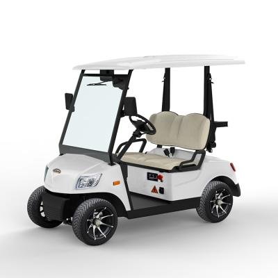 EEC Approved 2 Seater Electric Lithium Battery Golf Cart DS-A2-2