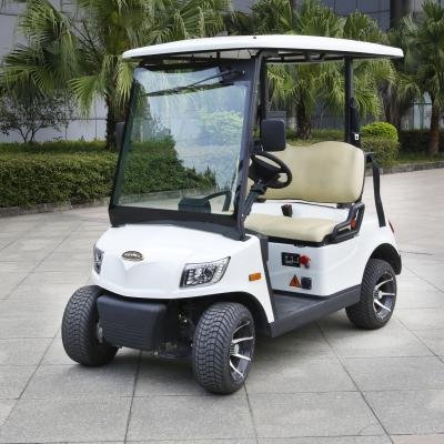 EEC Approved 2 Seater Electric Lithium Battery Golf Cart DS-A2-2