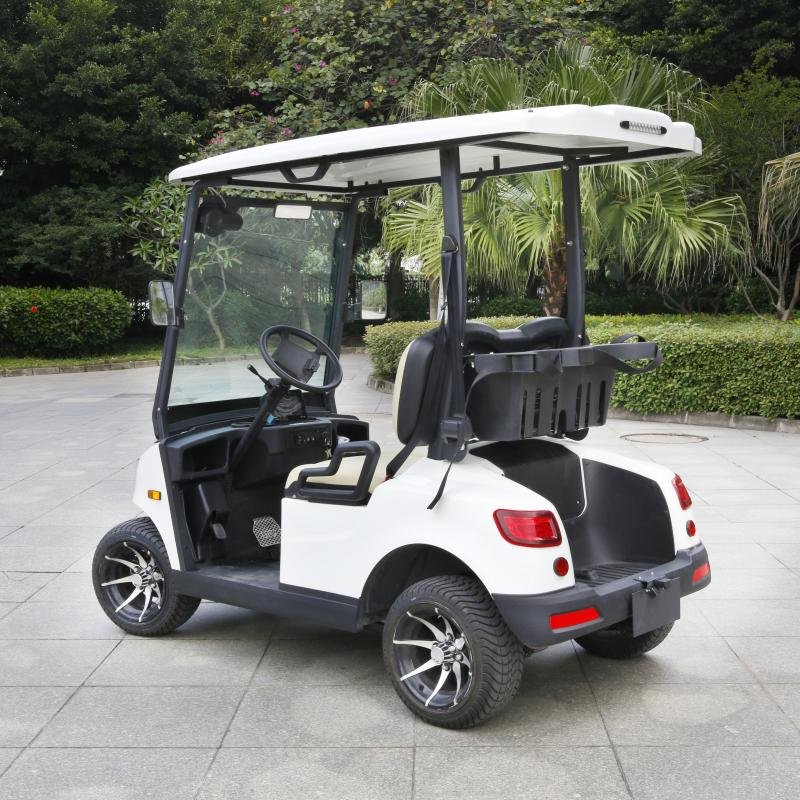 EEC Approved 2 Seater Electric Lithium Battery Golf Cart DS-A2-2