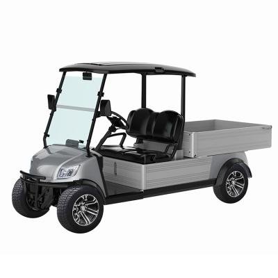 2 Seater Electric Lithium Battery Utility Golf Cart with Cargo DU-CA500