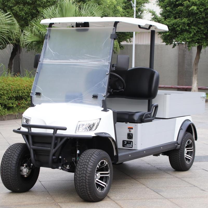 2 Seater Electric Lithium Battery Utility Golf Cart with Cargo DU-CA500