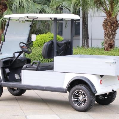 2 Seater Electric Lithium Battery Utility Golf Cart with Cargo DU-CA500