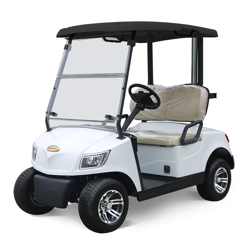 2 Seater Golf Cart DG-M2