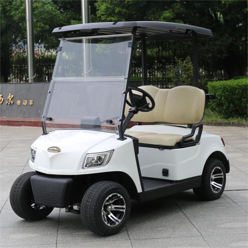 2 Seater Golf Cart DG-M2