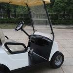 2 Seater Golf Cart DG-M2