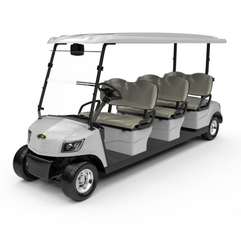 6 Seater Golf Cart DG-M6