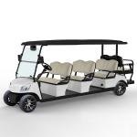 8 Seater Golf Cart DG-M6+2