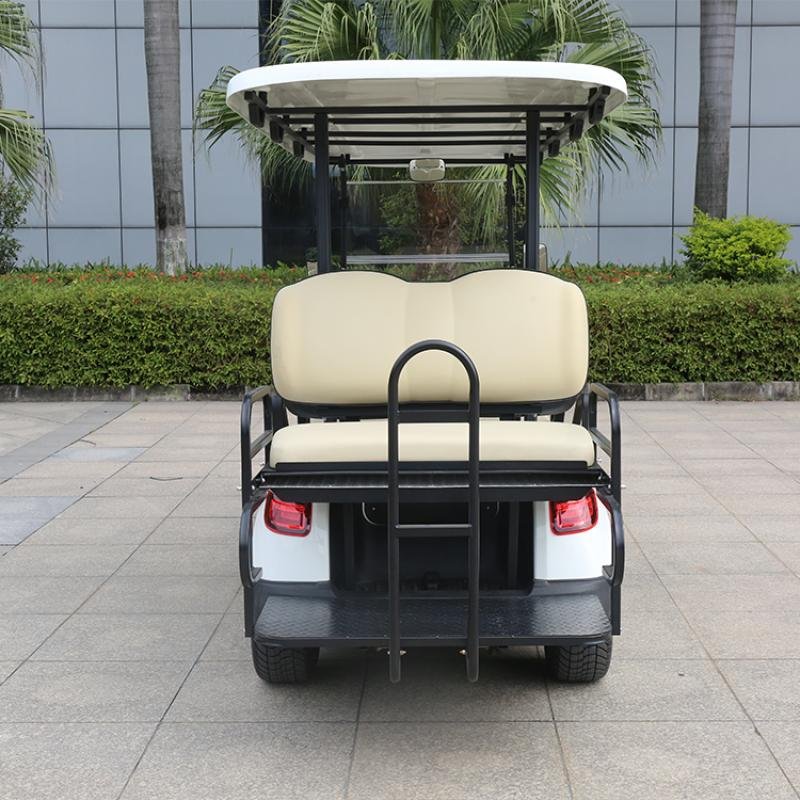 8 Seater Golf Cart DG-M6+2